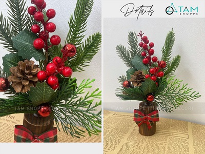 Chậu thông mini để bàn cành đỏ mọng cao 28cm đế gỗ [Nhiều kiểu] CHAUCAYGIA-19